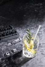 Load image into Gallery viewer, Quinn Beverages 2pk Ice Cube Tray