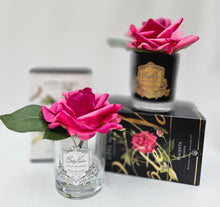 Load image into Gallery viewer, COTE NOIRE PERFUMED NATURAL TOUCH SINGLE ROSE - clear - MAGENTA - GMRB07