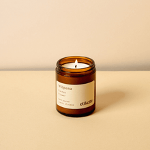 Load image into Gallery viewer, Etikette candle/Wilpena // Cactus Flower