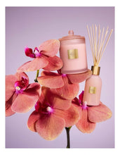 Load image into Gallery viewer, glasshouse candle Radiance In Bloom Candle