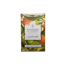 Load image into Gallery viewer, wave tree candle/Basil Lime Mandarin Candle