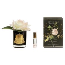 Load image into Gallery viewer, Côte Noire Perfumed Natural Touch Rose in Black - Pink Blush