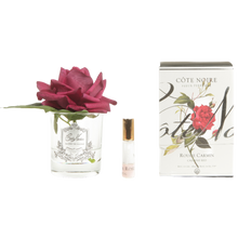 Load image into Gallery viewer, Côte Noire Perfumed Natural Touch Rose in Clear - Carmine Red