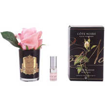 Load image into Gallery viewer, Côte Noire Perfumed Natural Touch Rose Bud in Black - White Peach