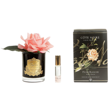 Load image into Gallery viewer, Côte Noire Perfumed Natural Touch Rose in Black - White Peach