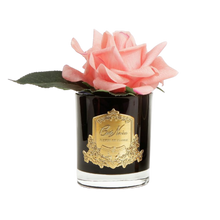 Load image into Gallery viewer, Côte Noire Perfumed Natural Touch Rose in Black - White Peach