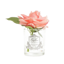 Load image into Gallery viewer, Côte Noire Perfumed Natural Touch Rose in Clear - White Peach