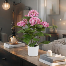 Load image into Gallery viewer, Potted Artificial Hydrangea

