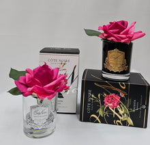 Load image into Gallery viewer, COTE NOIRE PERFUMED NATURAL TOUCH SINGLE ROSE - clear - MAGENTA - GMRB07
