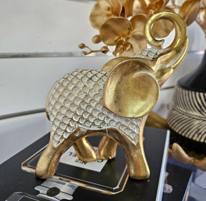 Gold Elephant with Lotus Pattern