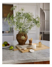 Load image into Gallery viewer, Pear And Lime Soy Candle/ CIRCA

