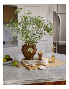 Pear And Lime Soy Candle/ CIRCA