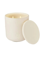 Load image into Gallery viewer, Mango and Papaya Soy Candle/ circa
