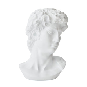 Resin Michelangelo David Bust Renaissance Sculpture