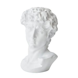 Resin Michelangelo David Bust Renaissance Sculpture