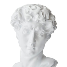 Load image into Gallery viewer, Resin Michelangelo David Bust Renaissance Sculpture
