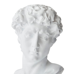 Resin Michelangelo David Bust Renaissance Sculpture