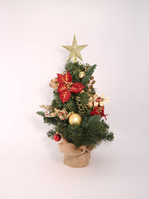 Load image into Gallery viewer, Christmas Tree with Decoration Package
