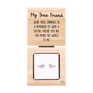 Heart & Soul Earrings Starter