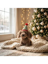 Load image into Gallery viewer, Mary Meyer Dandy Dachshund 23cm
