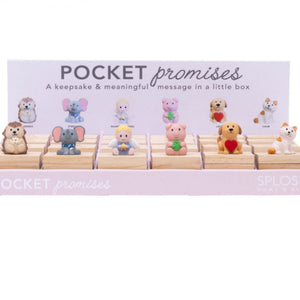 Pocket Promise/inspirational gift