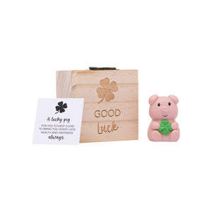 Pocket Promise/inspirational gift