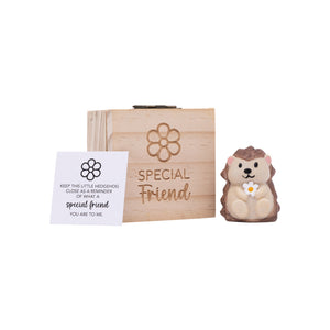 Pocket Promise/inspirational gift