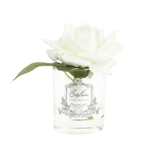 Côte Noire Perfumed Natural Touch Rose in Clear - Ivory White