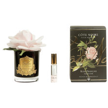 Load image into Gallery viewer, Côte Noire Perfumed Natural Touch Rose in Black - French Pink
