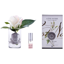 Load image into Gallery viewer, Côte Noire Perfumed Natural Touch Rose Bud in Clear - Pink Blush
