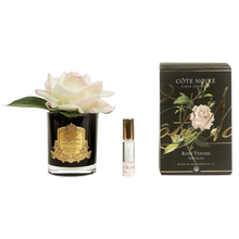 Load image into Gallery viewer, Côte Noire Perfumed Natural Touch Rose in Black - Pink Blush
