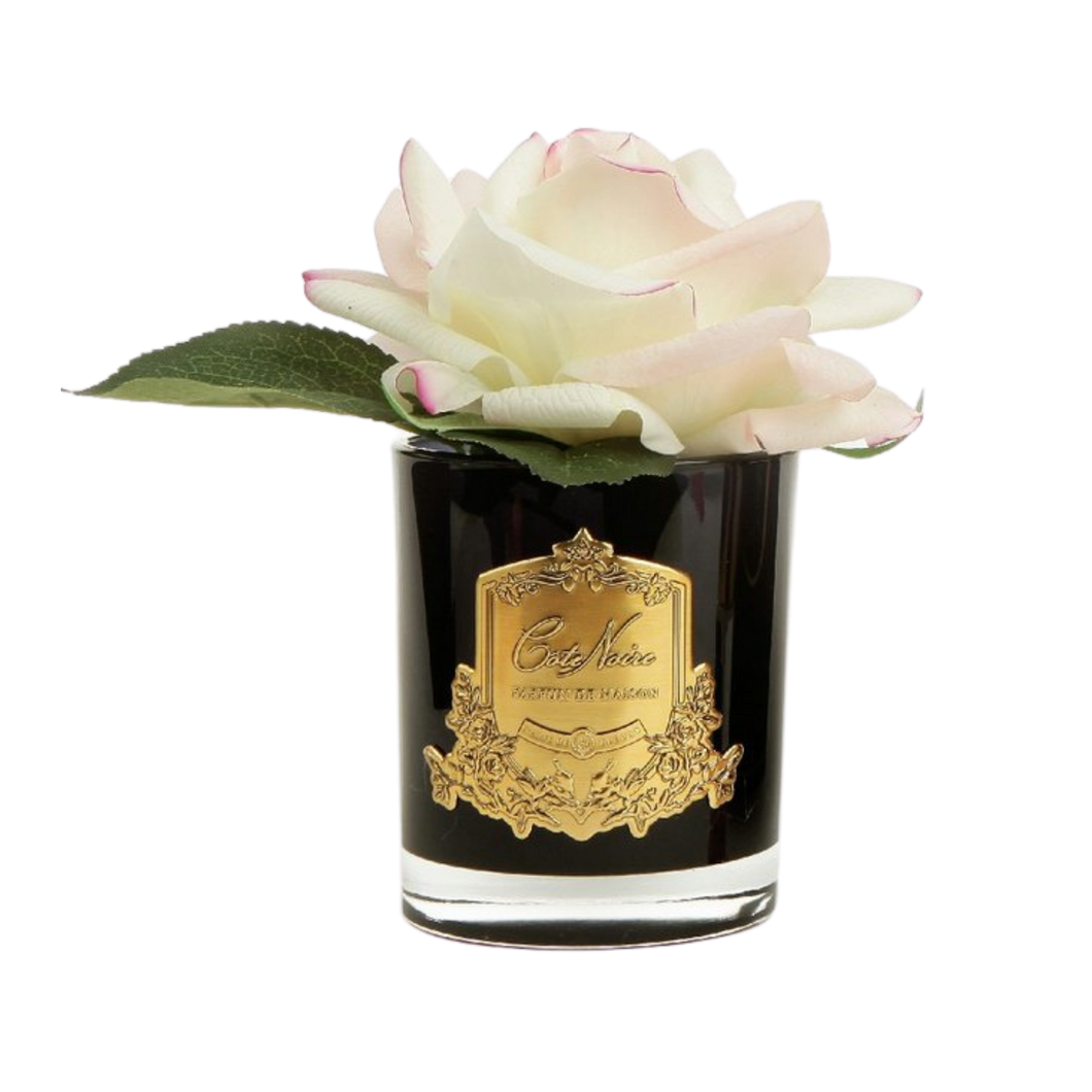 Côte Noire Perfumed Natural Touch Rose in Black - Pink Blush