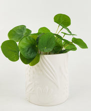 Load image into Gallery viewer, Caprice Foliage Planter White
