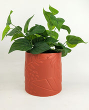 Load image into Gallery viewer, Caprice Foliage Planter Terracotta
