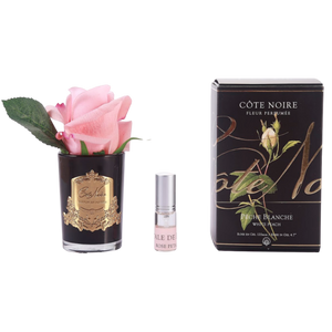 Côte Noire Perfumed Natural Touch Rose Bud in Black - White Peach