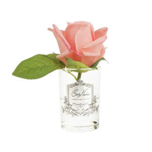 Côte Noire Perfumed Natural Touch Rose Bud in Clear - White Peach