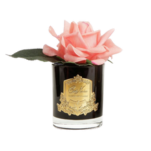 Load image into Gallery viewer, Côte Noire Perfumed Natural Touch Rose in Black - White Peach
