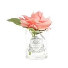 Load image into Gallery viewer, Côte Noire Perfumed Natural Touch Rose in Clear - White Peach
